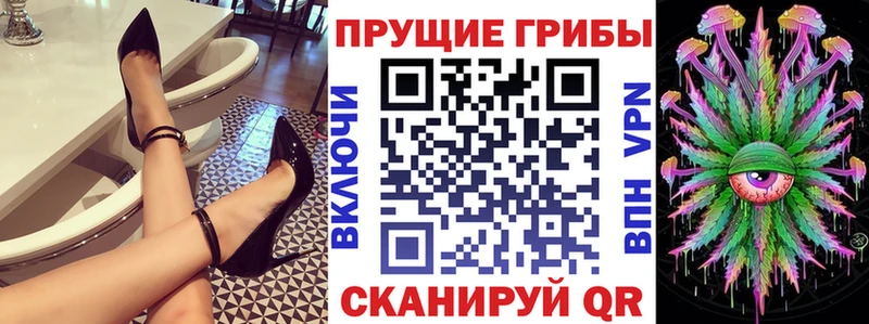 кракен сайт  Киров  Галлюциногенные грибы прущие грибы 
